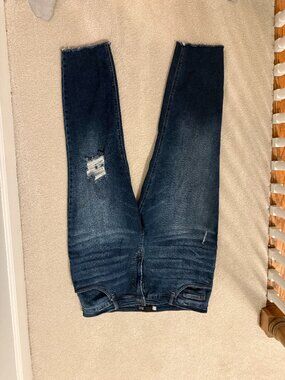 Kut from the Kloth Rachel Fab Ab Mom Jean -18W